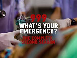 999 Whats Your Emergency S12E02 XviD<span style=color:#fc9c6d>-AFG</span>