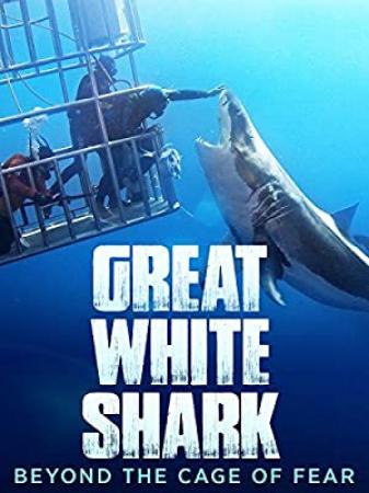 Great White Shark Beyond The Cage Of Fear <span style=color:#777>(2013)</span> [720p] [WEBRip] <span style=color:#fc9c6d>[YTS]</span>