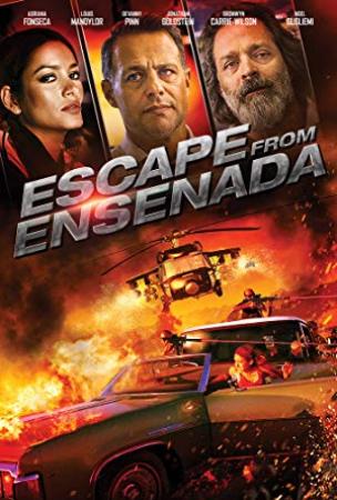Escape From Ensenada [BluRay 720p X264 MKV][AC3 5.1 Castellano - English - SUB ES][2018]