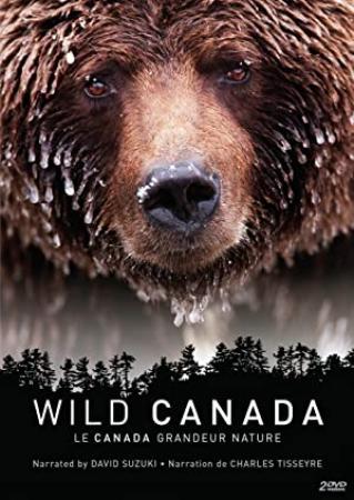 Wild Canada Season 1 S01 720p BluRay x264-DON [RiCK]