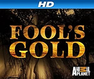 Fool's Gold<span style=color:#777> 2008</span> x264 BDRip 720p Rus Ukr Eng<span style=color:#fc9c6d> ExKinoRay</span>