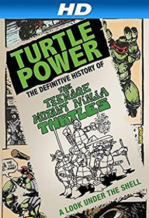 Turtle Power The Definitive History of the Teenage Mutant Ninja Turtles<span style=color:#777> 2014</span> DVDRip x264 AC3-MiLLENiUM