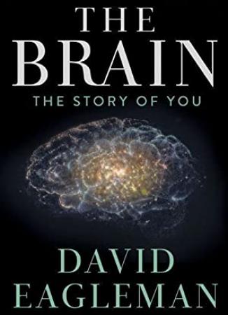 The Brain With Dr David Eagleman S01 720p WEBRip JimmyJ