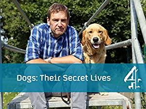 Dogs Their Secret Lives S01E02 HDTV x264-C4TV