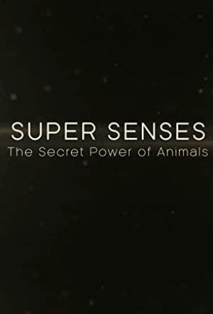 Super Senses - The Secret Power of Animals S01 complete