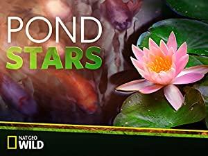 Pond Stars S01E01 HDTV x264-FiHTV