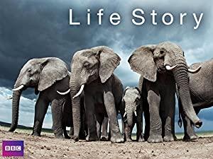 Life Story S01E02 HDTV x264-FTP