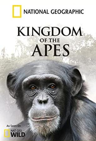 Kingdom Of The Apes S01E01 Clash Of Kings HDTV x264-CBFM