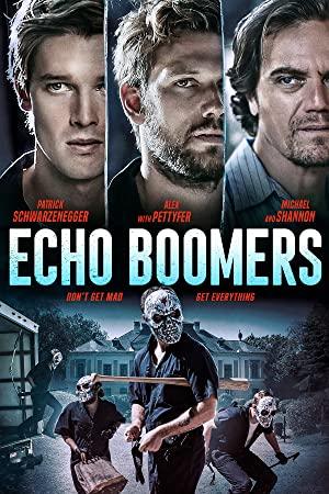 Echo Boomers<span style=color:#777> 2020</span> WEBRip FR DUB_xvid