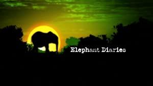 Elephant Diaries<span style=color:#777> 2005</span> 2of5 1080i HDTV docuindex org MVGroup mkv<span style=color:#fc9c6d>[eztv]</span>