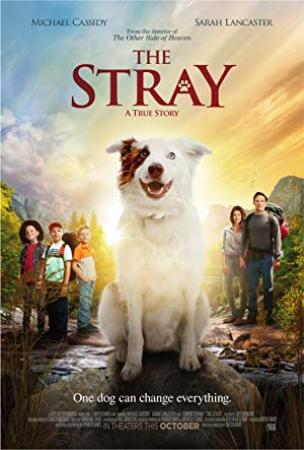 The Stray<span style=color:#777> 2017</span> 1080p BRRip x264 AAC <span style=color:#fc9c6d>- Hon3y</span>