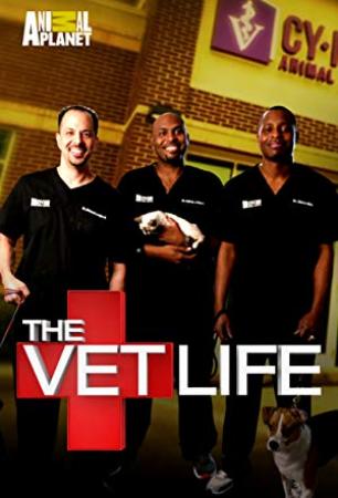 The Vet Life S04E01 The Pig Whisperers 1080p WEB h264<span style=color:#fc9c6d>-TBS</span>