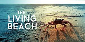 The Living Beach S01 1080p AMZN WEBRip DDP2.0 x264<span style=color:#fc9c6d>-RCVR[rartv]</span>