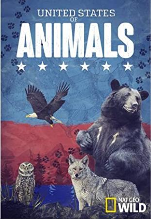United States of Animals S01E01-E02 WEB-DL x264-JIVE - [SRIGGA]