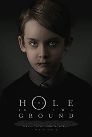 The Hole in the Ground<span style=color:#777> 2019</span> Blu-ray 1080p DTS-HDMA 5.1 HEVC-DDR[EtHD]