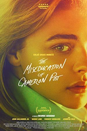 The Miseducation Of Cameron Post <span style=color:#777>(2018)</span> [WEBRip] [720p] <span style=color:#fc9c6d>[YTS]</span>