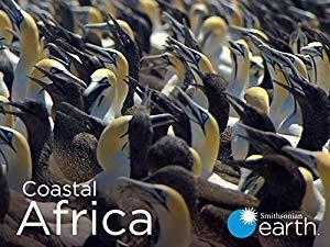 Coastal Africa S01E01 Sweeping Shores 1080p WEB h264<span style=color:#fc9c6d>-CAFFEiNE[eztv]</span>