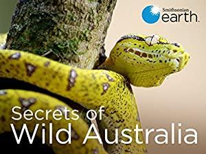 Secrets of Wild Australia S01E04 The Flying Fox 480p x26