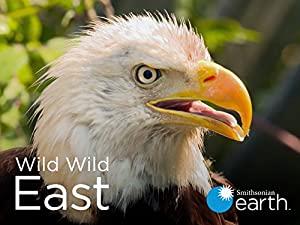 Wild Wild East Series 1 Migration 1080p HDTV x264 AAC