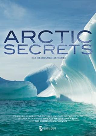 Arctic Secrets<span style=color:#777> 2016</span> 720p 10bit WEBRip x265-budgetbits