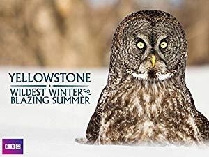 Yellowstone Wildest Winter to Blazing Summer 2of3 The Toughest Spring 720p HDTV x264 AAC mp4<span style=color:#fc9c6d>[eztv]</span>