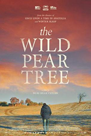 The Wild Pear Tree <span style=color:#777>(2018)</span> [BluRay] [1080p] <span style=color:#fc9c6d>[YTS]</span>