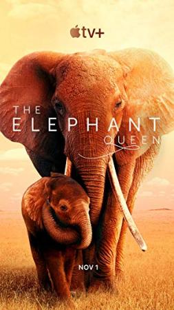 The Elephant Queen<span style=color:#777> 2019</span> 2160p ATVP WEB-DL DDP5.1 Atmos DV x265<span style=color:#fc9c6d>-iKA</span>