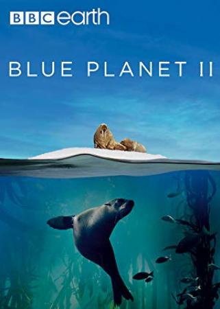 Blue Planet II S01E00 Oceans of Wonder 720p HDTV X264-CREED