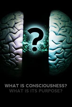 What is Consciousness<span style=color:#777> 2017</span> 1080p-VIMEO