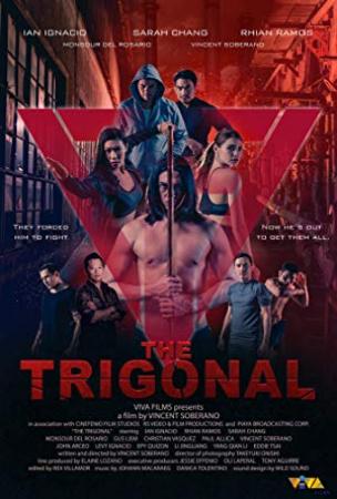 The Trigonal Fight For Justice<span style=color:#777> 2018</span>  FRENCH BDRiP LD XViD-GIGLER