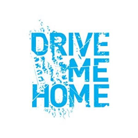 Drive Me Home<span style=color:#777> 2018</span> ITALIAN WEBRip x264<span style=color:#fc9c6d>-VXT</span>