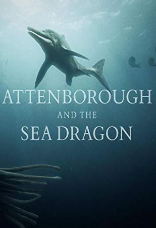 Attenborough And The Sea Dragon<span style=color:#777> 2018</span> 1080p WEBRip x264<span style=color:#fc9c6d>-RARBG</span>