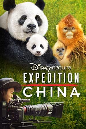 Expedition China<span style=color:#777> 2017</span> P WEB-DLRip 14OOMB