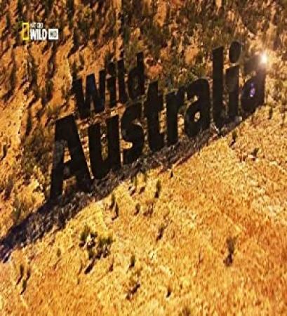 Wild Australia S01E01 Desert Of The Red Kangaroo HDTV x264-CBFM
