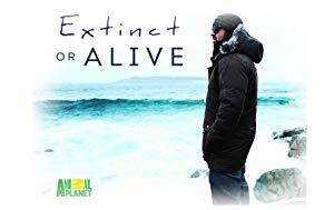 Extinct or Alive S01E04 Florida Black Panther XviD<span style=color:#fc9c6d>-AFG[TGx]</span>