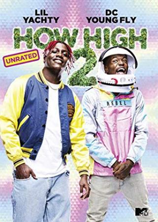 How High 2<span style=color:#777> 2019</span> FRENCH HDRiP XViD-LiST