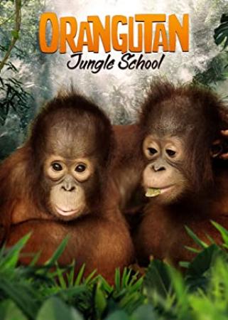 Orangutan Jungle School S01E04 The Misfits 480p x264<span style=color:#fc9c6d>-mSD[eztv]</span>