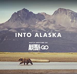 Into Alaska S01E09 Surrounded by Bears 720p WEBRip x264<span style=color:#fc9c6d>-CAFFEiNE</span>