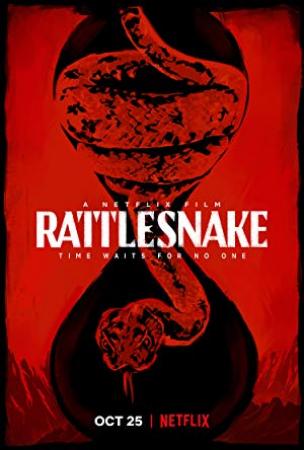 Rattlesnake <span style=color:#777>(2019)</span> 1080p WEB-DL x265 10bit HEVC Dual Audio [Hindi DD 5.1 + English DA5 1] MSubs 1.60GB [te]