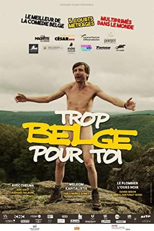 Trop Belge Pour Toi<span style=color:#777> 2019</span> FRENCH 1080p WEB H264-LOOKSMAX